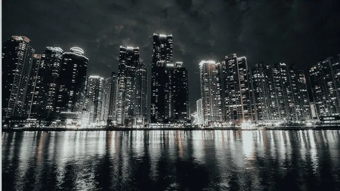 听泉鉴鲍黄 - 城市之光：霓虹背后的人间烟火